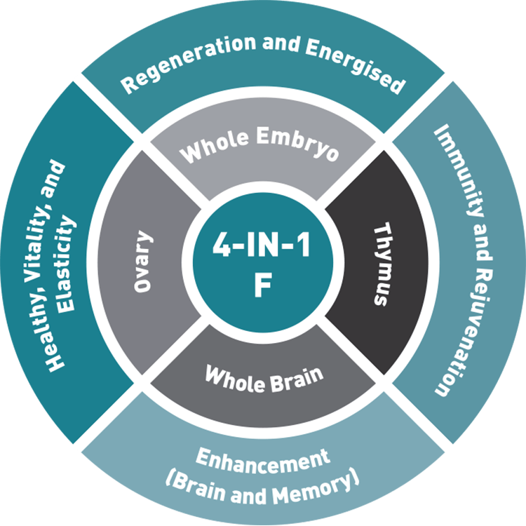 4-in-1 F (Female)
