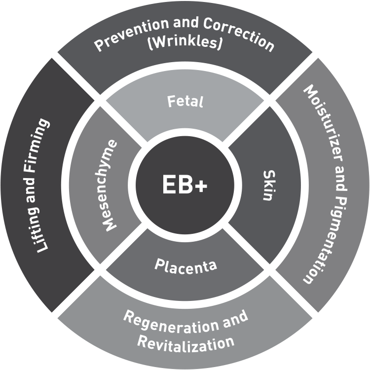 EB+