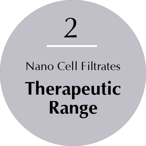 Therapeutic Range