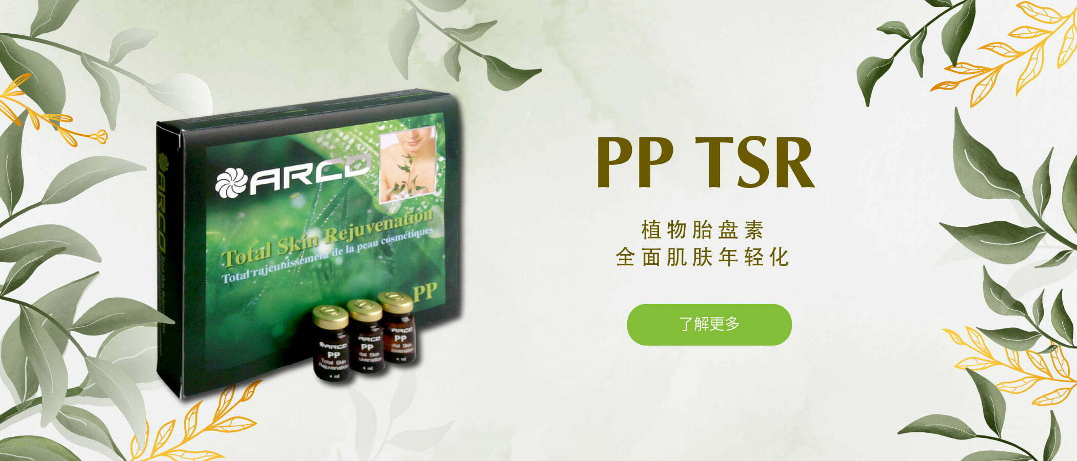Arco PP TSR