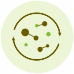 Stimulating Cellular Renewal