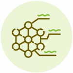 Enhance the Protein Synthesis in our Skin
